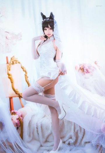 欧美大视频在线看免费视频_BD免费电视剧